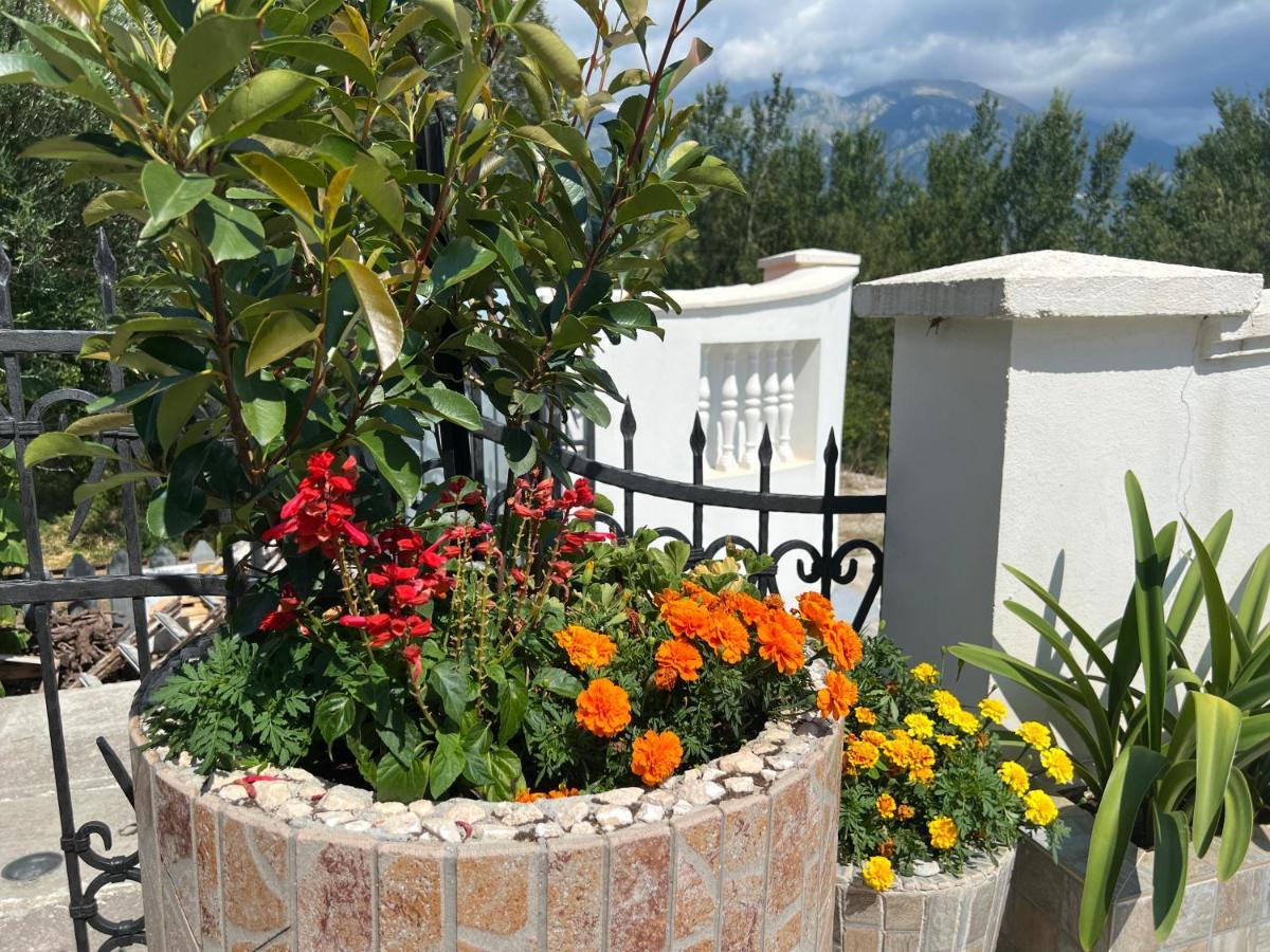 Netho Apartments Brda Mrcevac Екстер'єр фото